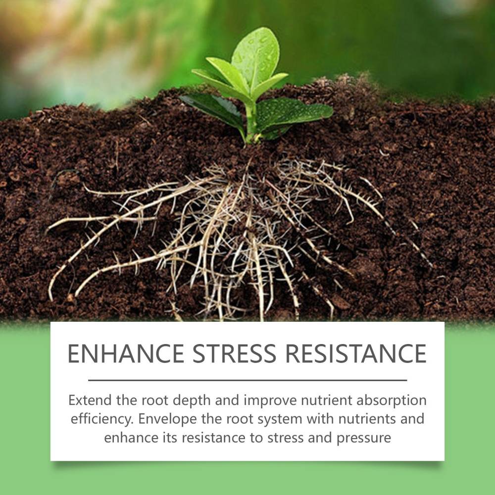 Fluide de croissance des plantes 50ml MCBOSON - Image 5