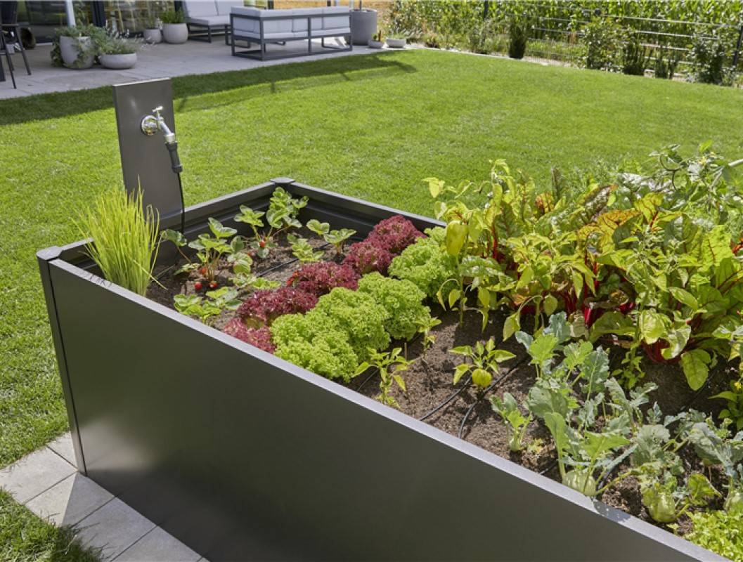 Gardena - Kit d'initiation goutte-à-goutte pour rangées de plantes jusqu'à 35 plantes Gardena - Imagen 3