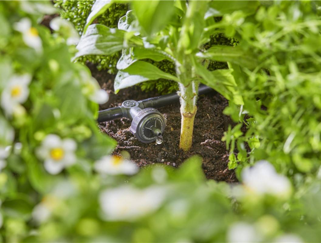 Gardena - Kit d'initiation goutte-à-goutte pour rangées de plantes jusqu'à 35 plantes Gardena - Imagen 4