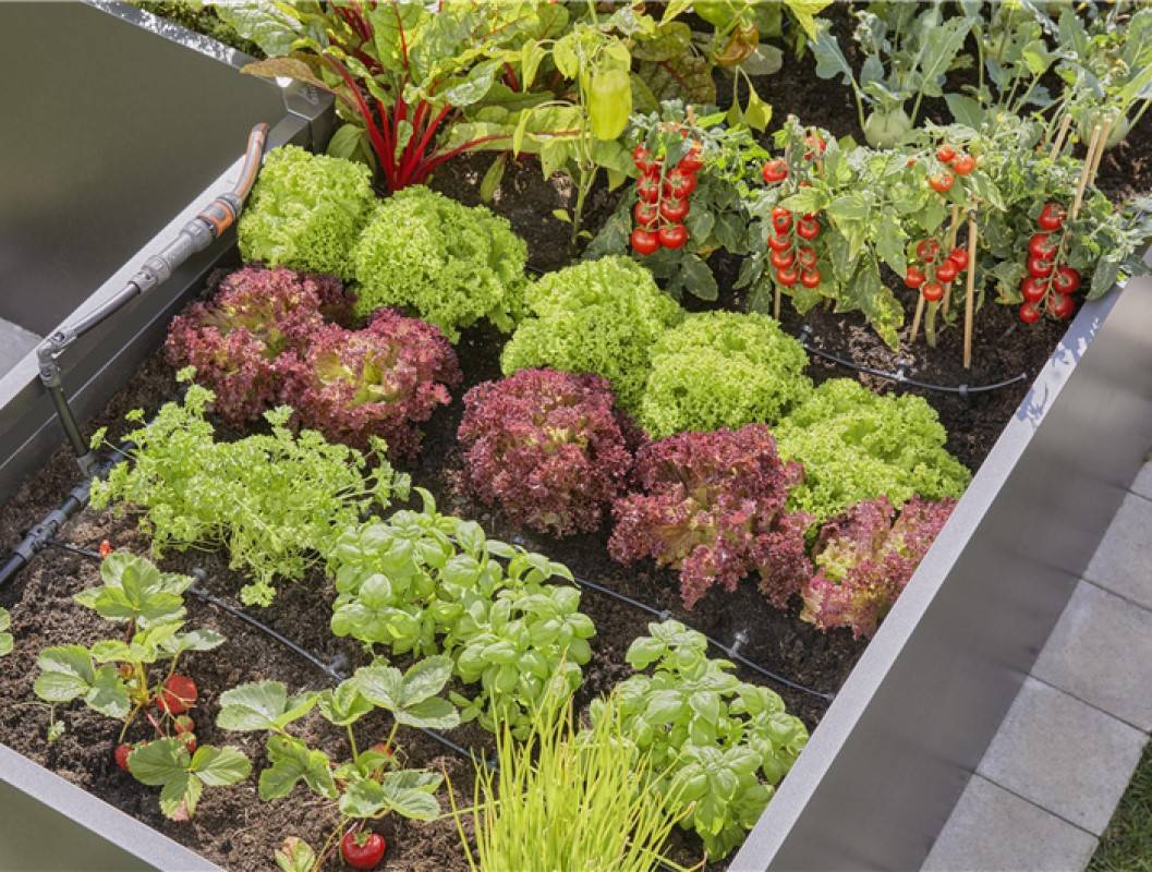 Gardena - Kit d'initiation goutte-à-goutte pour rangées de plantes jusqu'à 35 plantes Gardena - Imagen 2