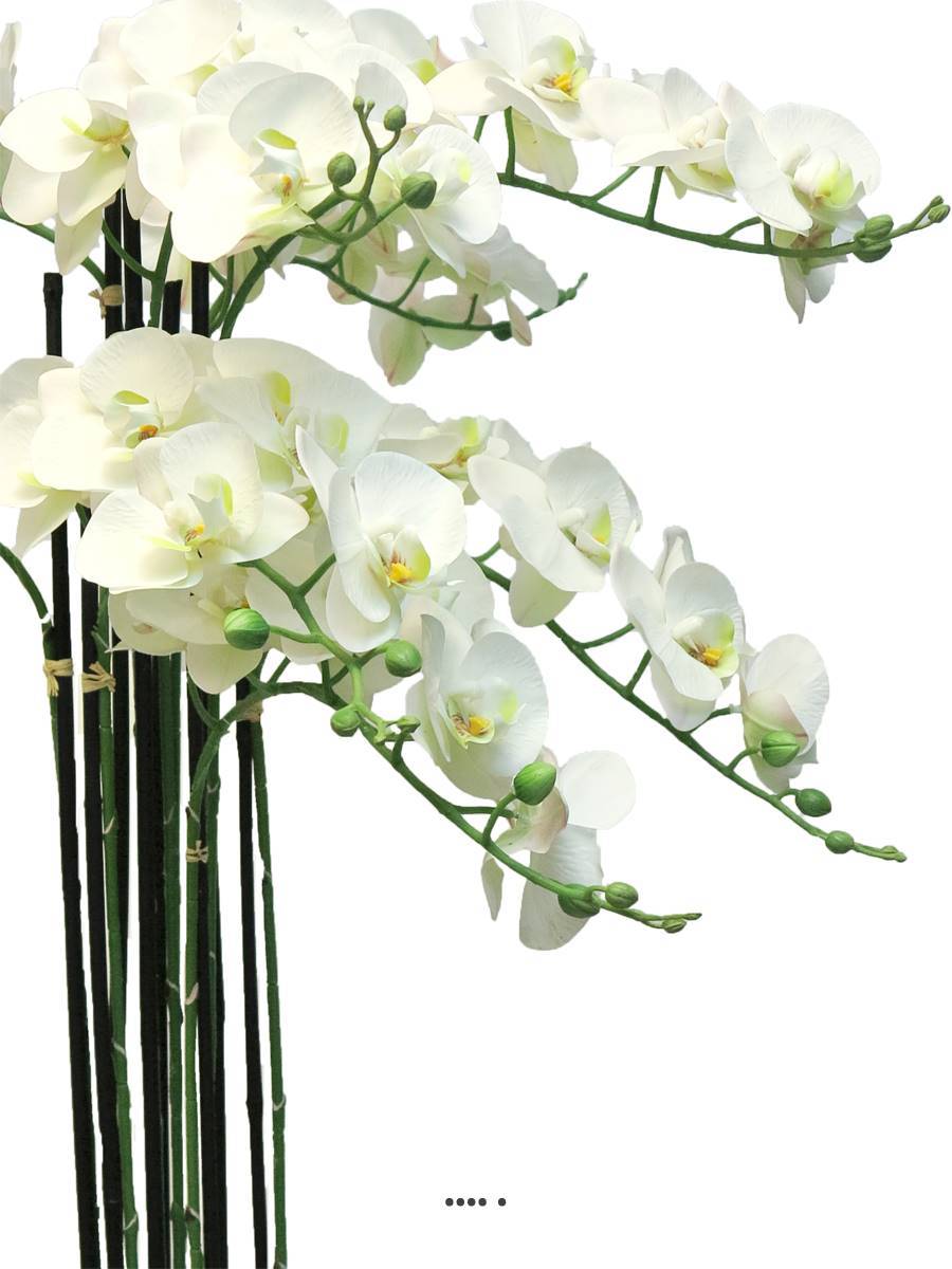 Artificielles - Orchidée Phalaenopsis factice en pot qualité déco H110cm Crème - BEST - dimhaut: H 110 cm - couleur: Crème - Imagen 3