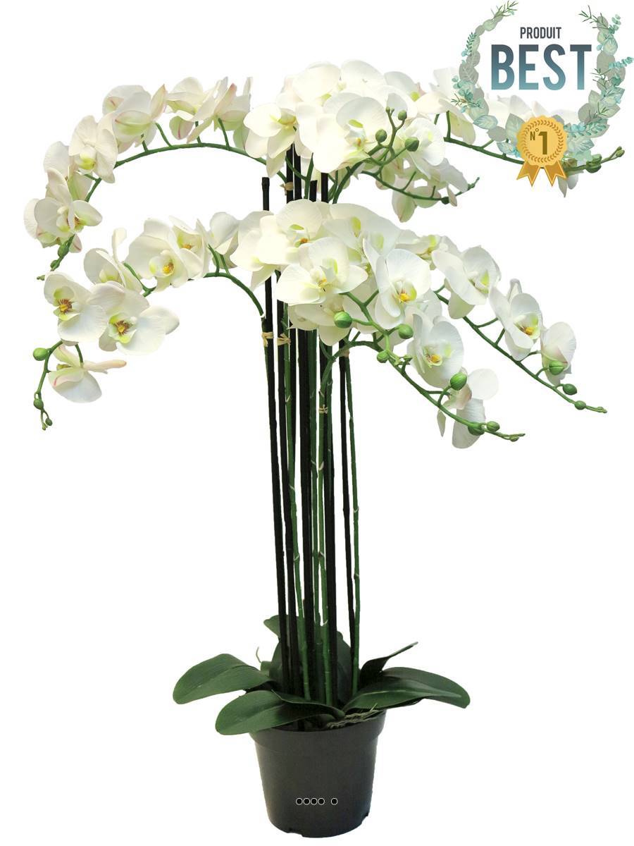 Artificielles - Orchidée Phalaenopsis factice en pot qualité déco H110cm Crème - BEST - dimhaut: H 110 cm - couleur: Crème - Imagen 1
