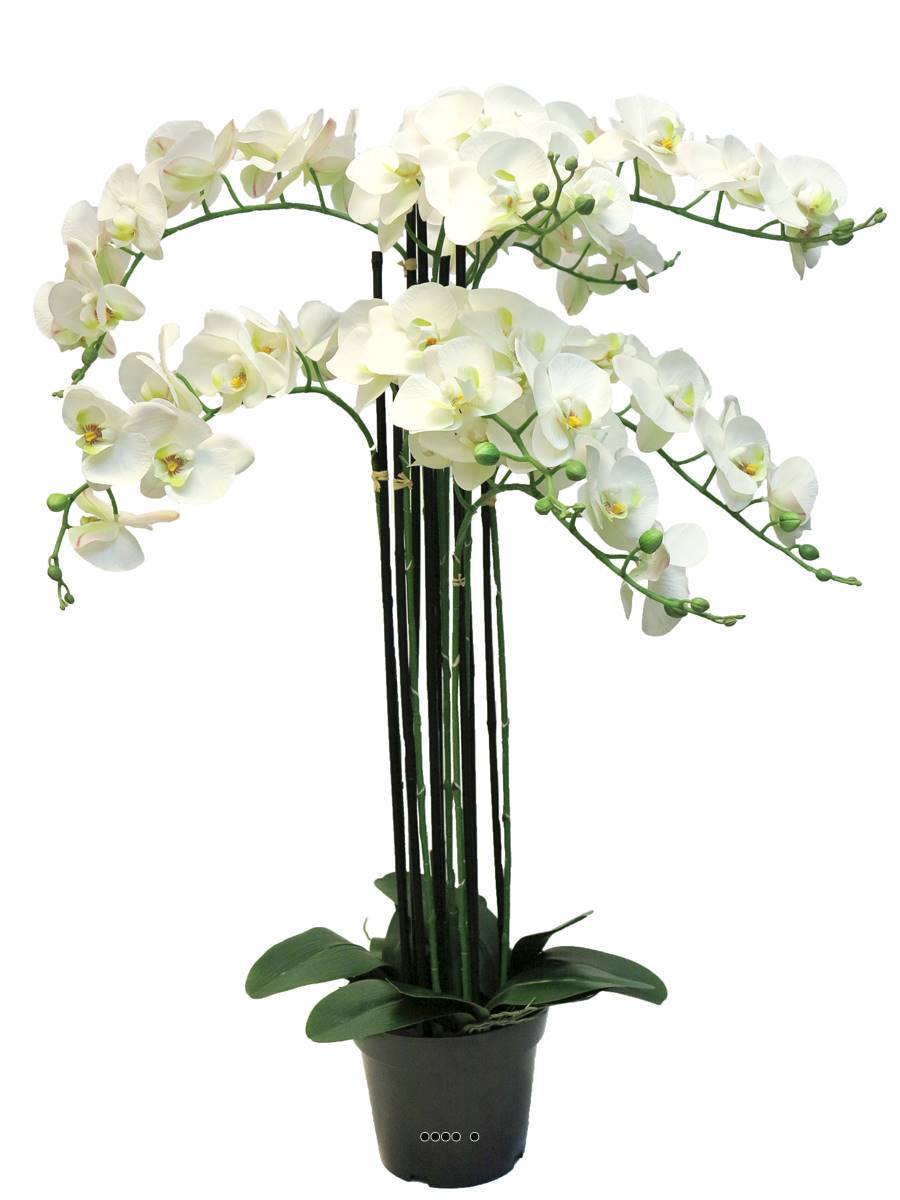 Artificielles - Orchidée Phalaenopsis factice en pot qualité déco H110cm Crème - BEST - dimhaut: H 110 cm - couleur: Crème - Imagen 2