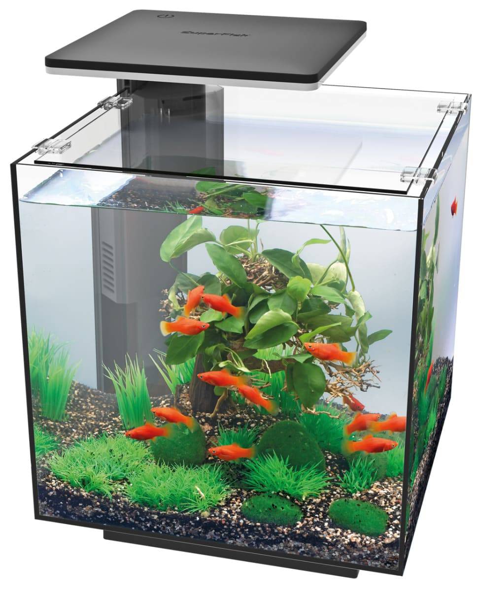 Superfish - Aquarium cube nano verre noir 30 L 32 cm QubiQ 30 Pro - SUPERFISH