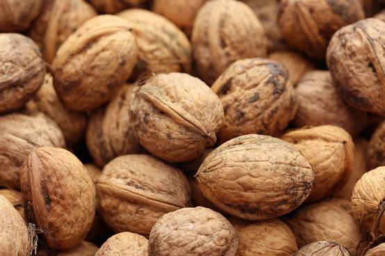 Noyer 'Parisienne'