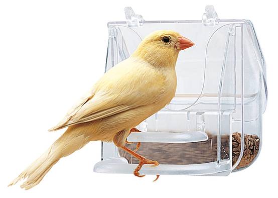 Ferplast - Mangeoire Oiseaux - FERPLAST - Image 3