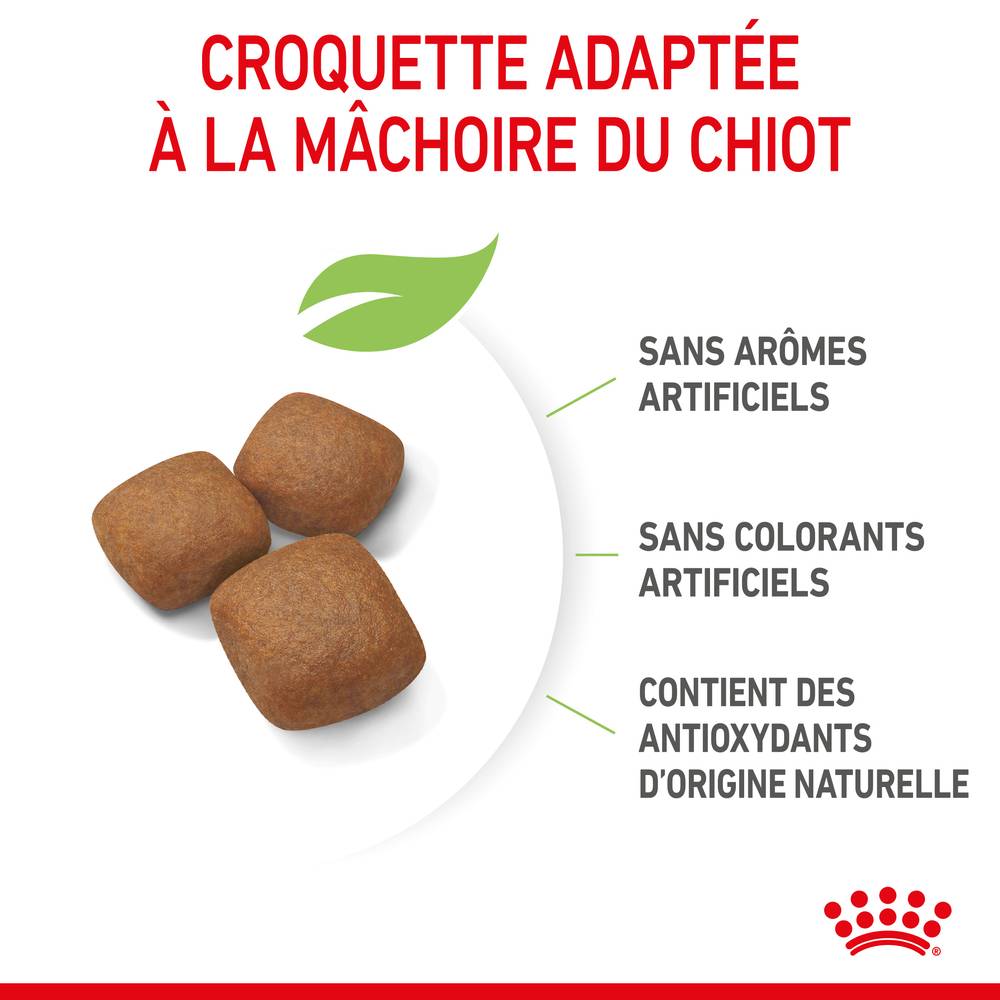 Royal Canin - Croquettes chiot géant junior giant - ROYAL CANIN - Image 11