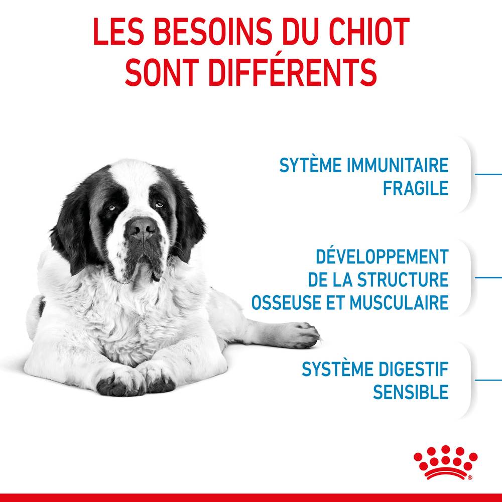 Royal Canin - Croquettes chiot géant junior giant - ROYAL CANIN - Image 14