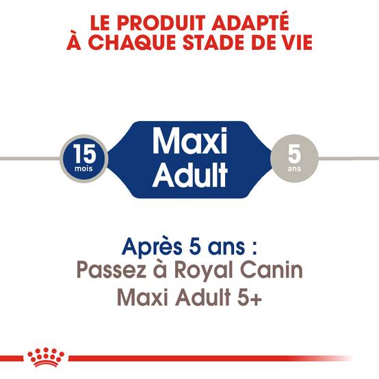 Royal Canin - Croquettes Chien Royal Canin Maxi Adult - ROYAL CANIN - Image 8
