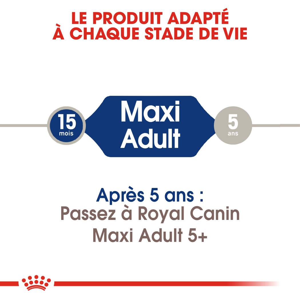 Royal Canin - Croquettes Chien Royal Canin Maxi Adult - ROYAL CANIN - Image 8