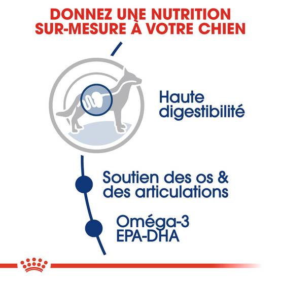 Royal Canin - Croquettes Chien Royal Canin Maxi Adult - ROYAL CANIN - Image 6