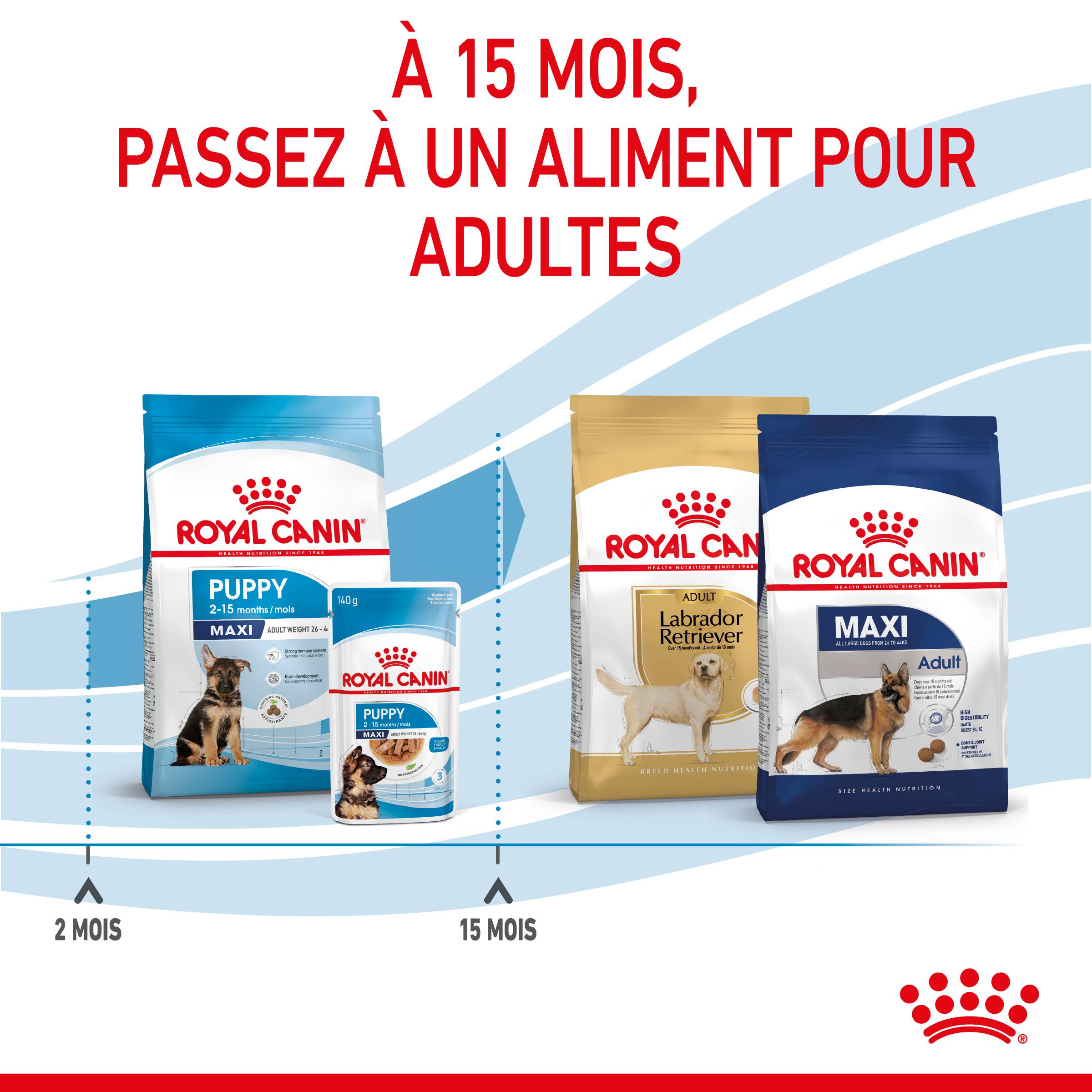 Royal Canin - Croquettes chiot Maxi Puppy – ROYAL CANIN - Image 10