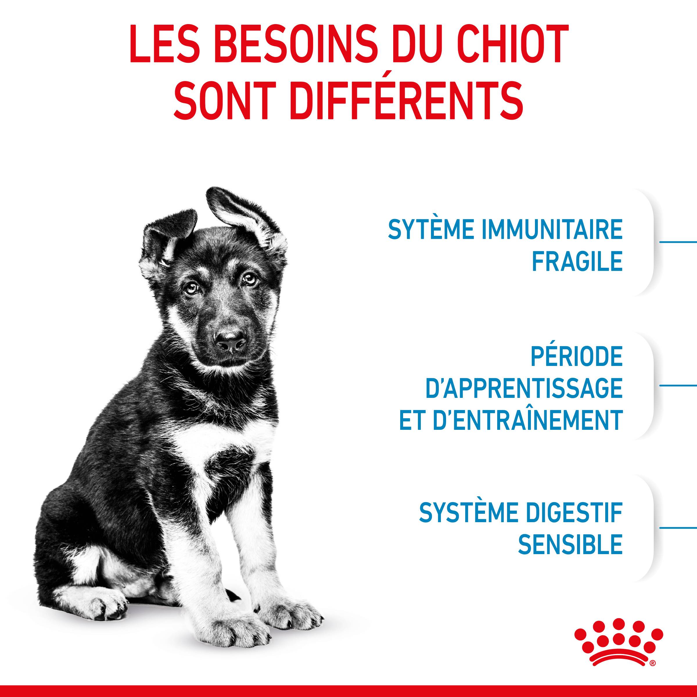 Royal Canin - Croquettes chiot Maxi Puppy – ROYAL CANIN - Image 8