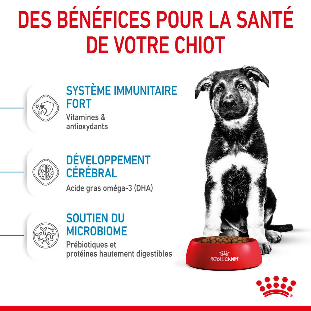 Royal Canin - Croquettes chiot Maxi Puppy – ROYAL CANIN - Image 14