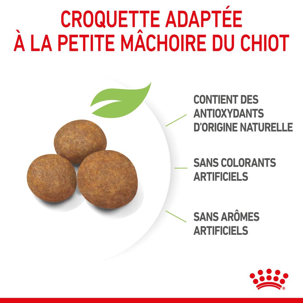 Royal Canin - Croquettes chiot Maxi Puppy – ROYAL CANIN - Image 16