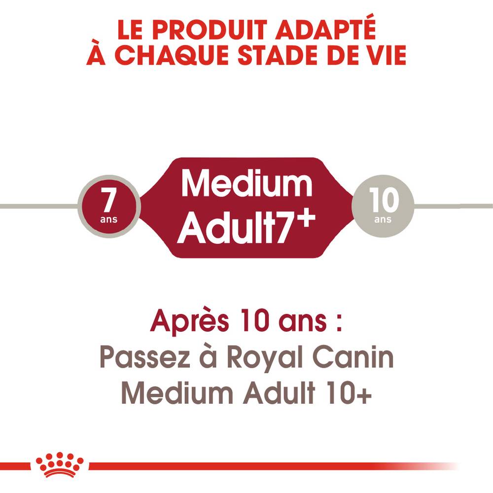 Royal Canin - Croquettes chien Medium Adult 7+ - ROYAL CANIN - Image 3