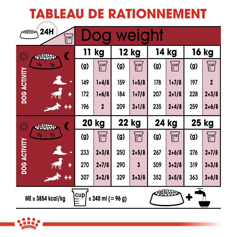 Royal Canin - Croquettes chien Medium Adult 7+ - ROYAL CANIN - Image 2