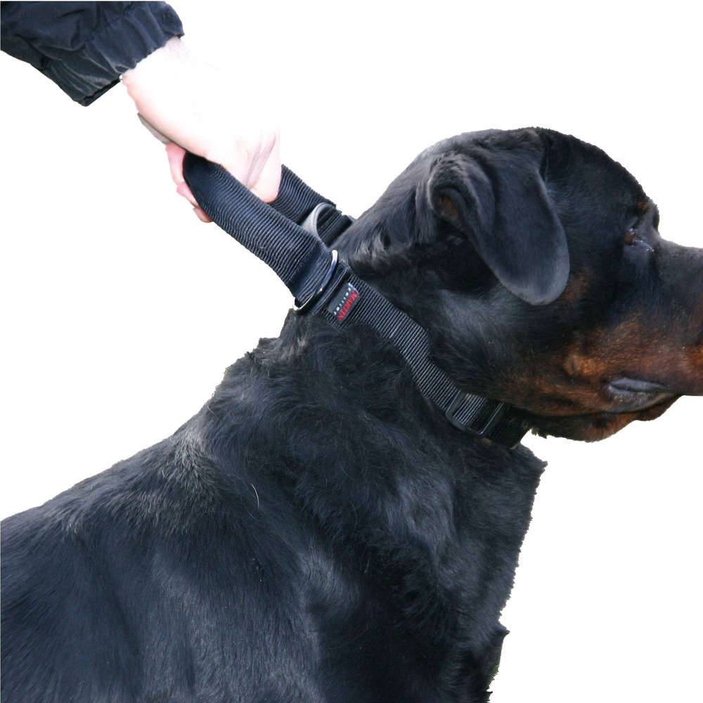 Martin Sellier - Collier Chien Intervention Nylon Noir – MARTIN SELLIER - Image 2