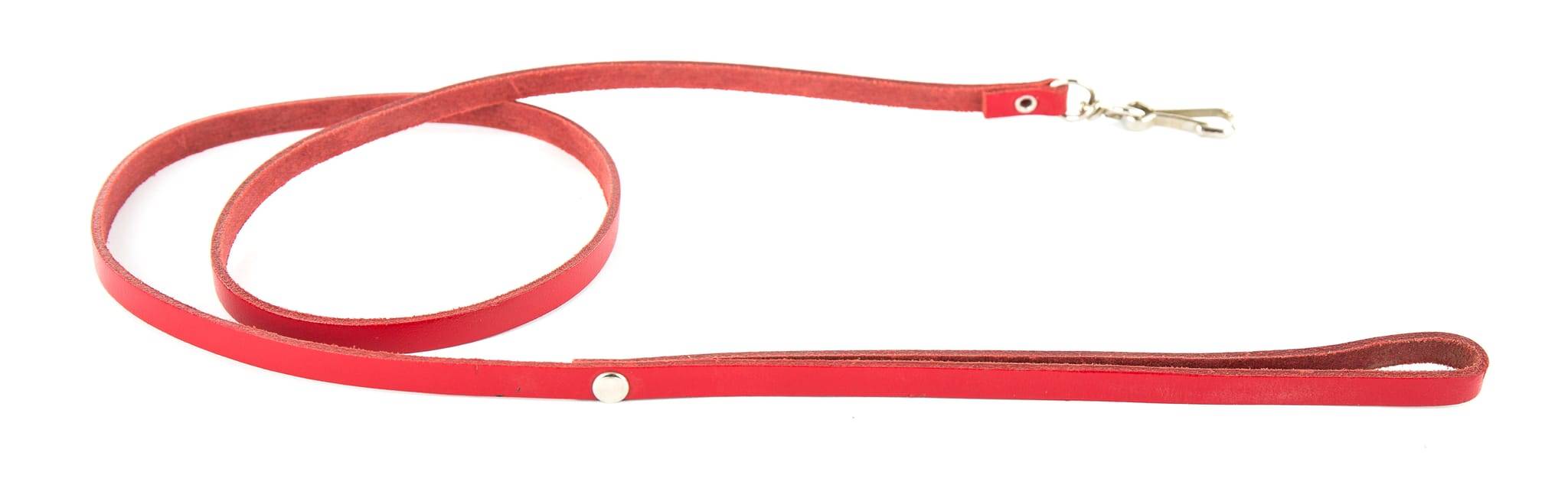 Smooz - Laisse pour chien cuir rouge - MARTIN SELLIER