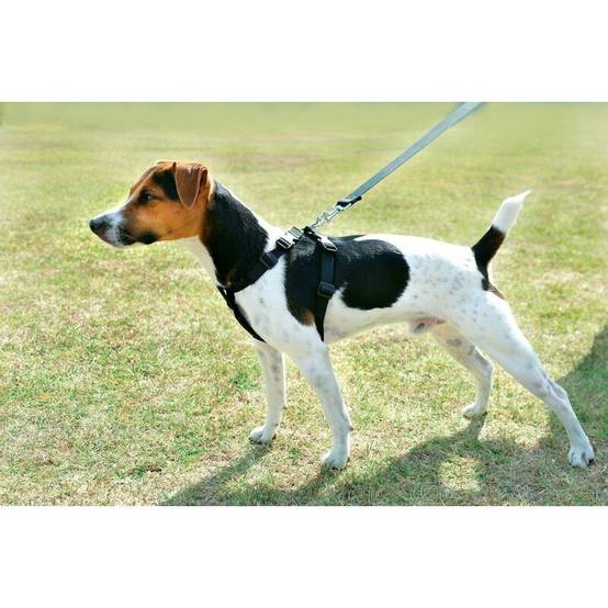 Zolux - Harnais de sécurité pour chien ZOLUX - Image 2