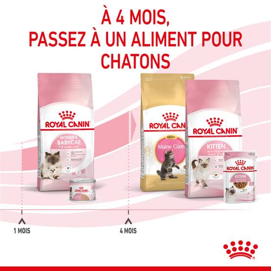 Royal Canin - Royal Canin - Croquettes pour chat Mother & Babycat 4 kg - Image 10