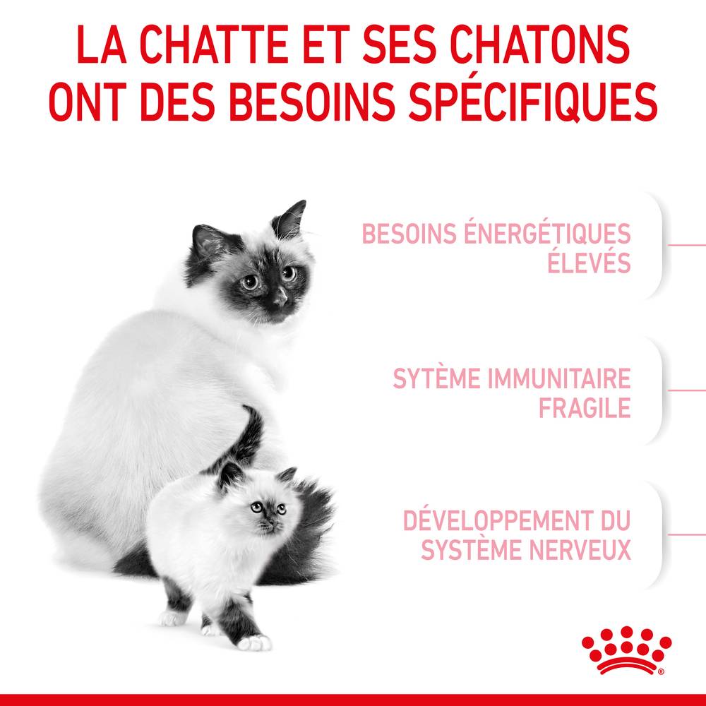 Royal Canin - Royal Canin - Croquettes pour chat Mother & Babycat 4 kg - Image 16