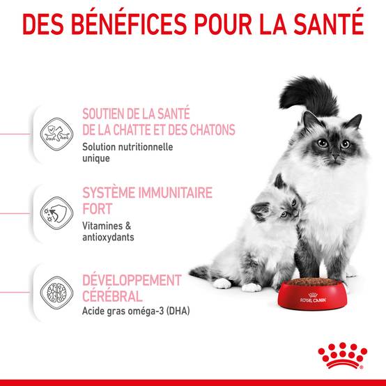 Royal Canin - Royal Canin - Croquettes pour chat Mother & Babycat 4 kg - Image 15