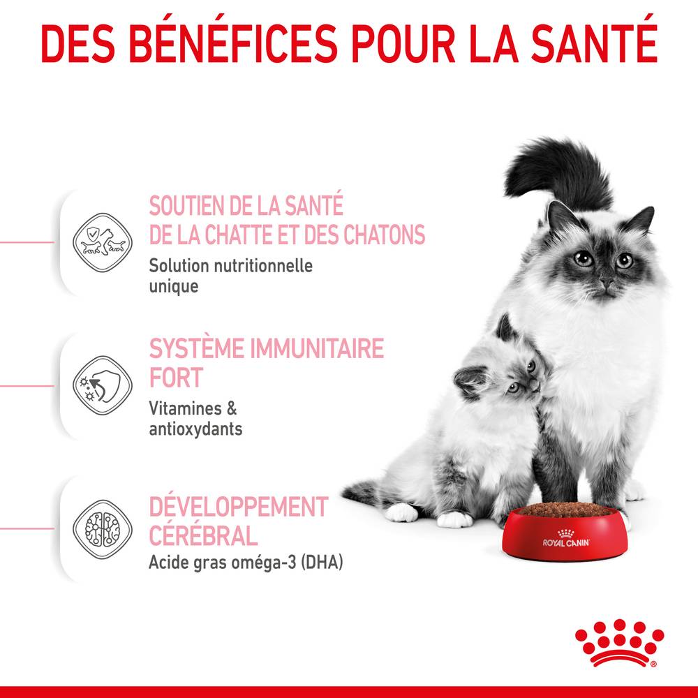 Royal Canin - Royal Canin - Croquettes pour chat Mother & Babycat 4 kg - Image 15