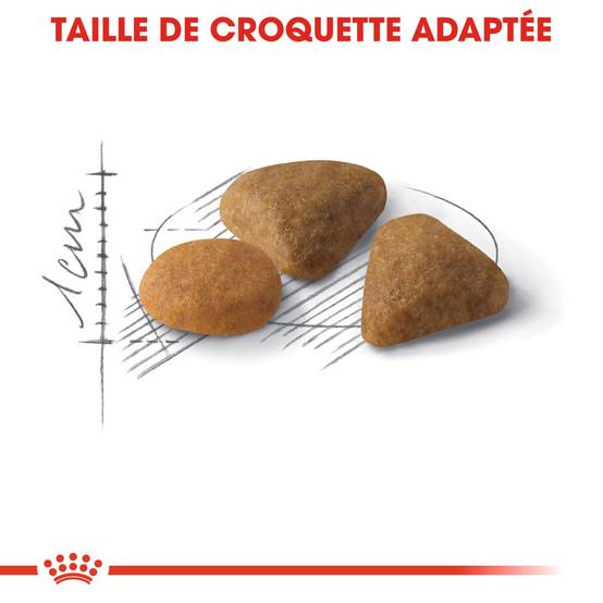 Royal Canin - Croquettes chat - ROYAL CANIN - Image 2