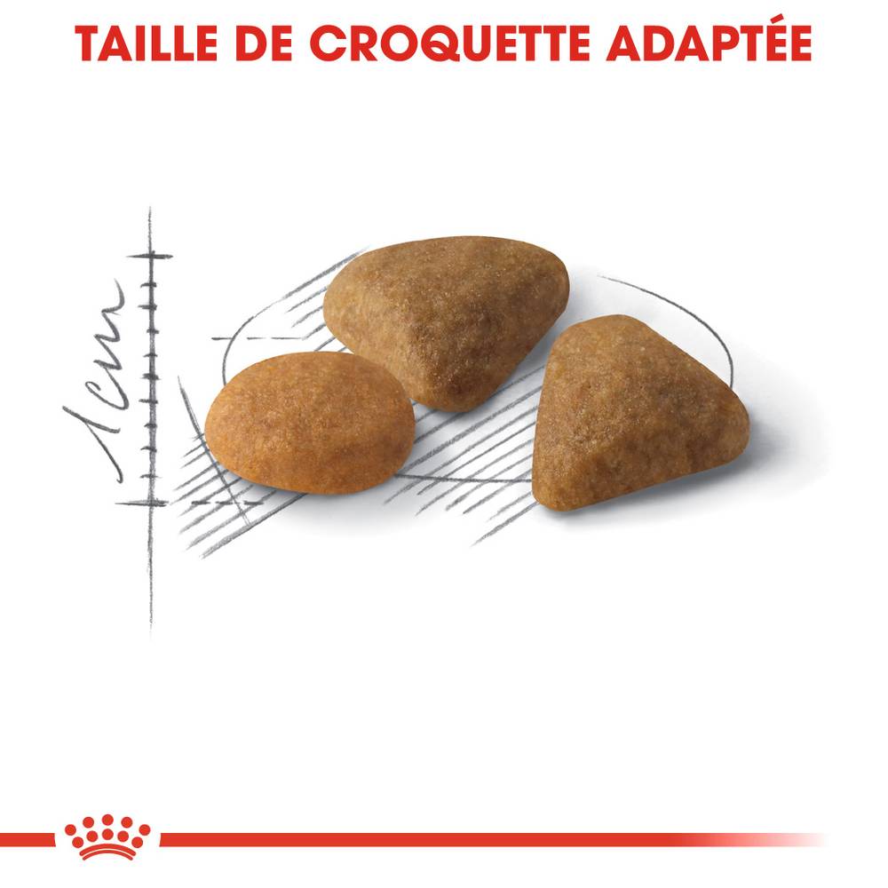 Royal Canin - Croquettes chat - ROYAL CANIN - Imagen 2