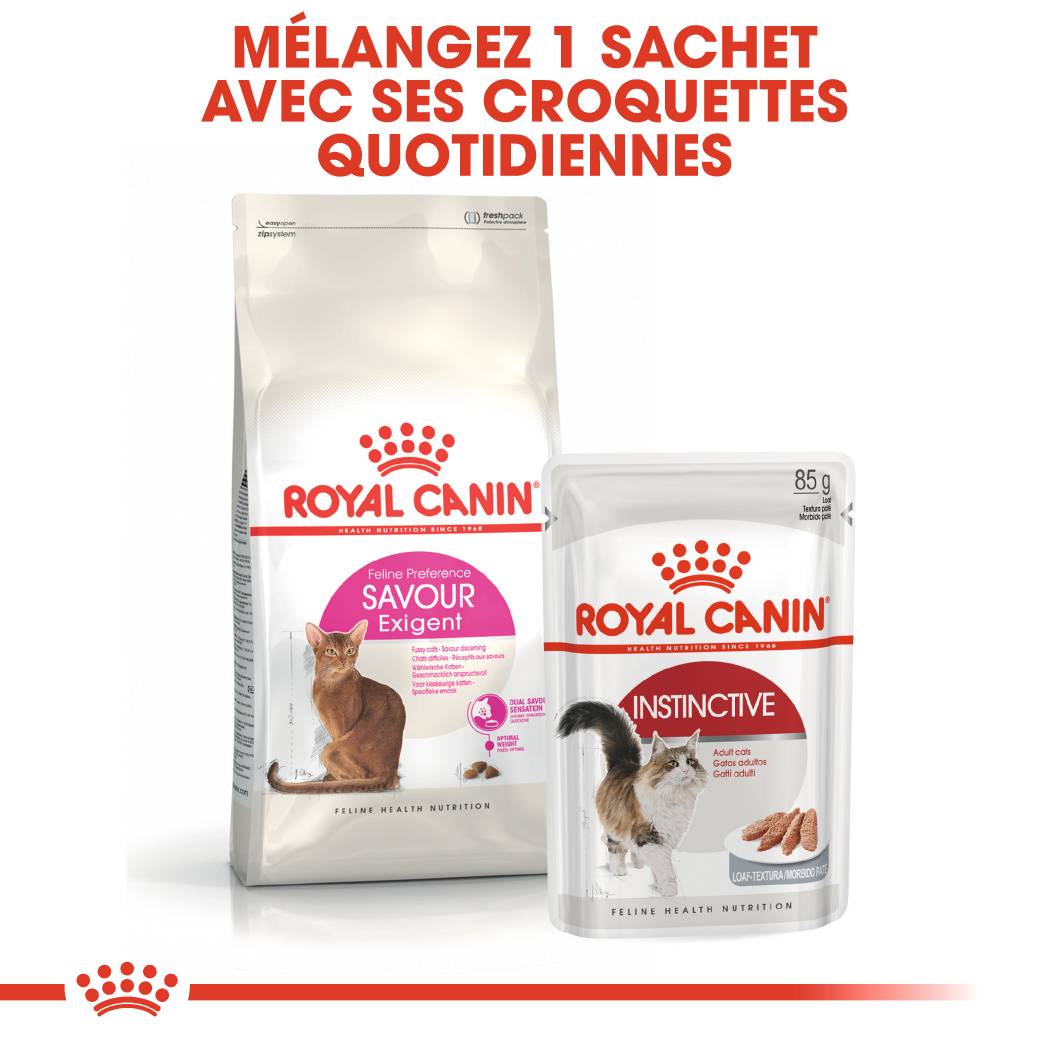 Royal Canin - Croquettes chat - ROYAL CANIN - Imagen 7