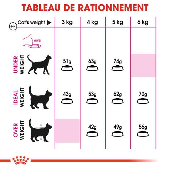 Royal Canin - Croquettes chat - ROYAL CANIN - Image 9