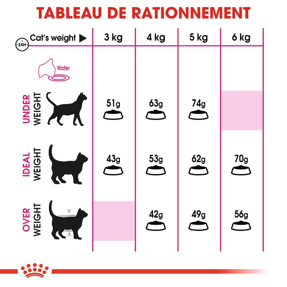 Royal Canin - Croquettes chat - ROYAL CANIN - Imagen 9