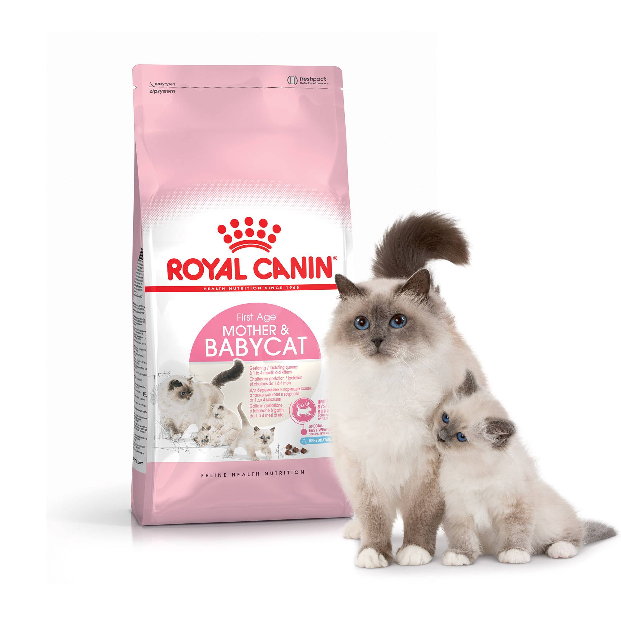 Royal Canin - Croquettes chat et chaton 0-4 mois Mother&Babycat 2 kg - ROYAL CANIN