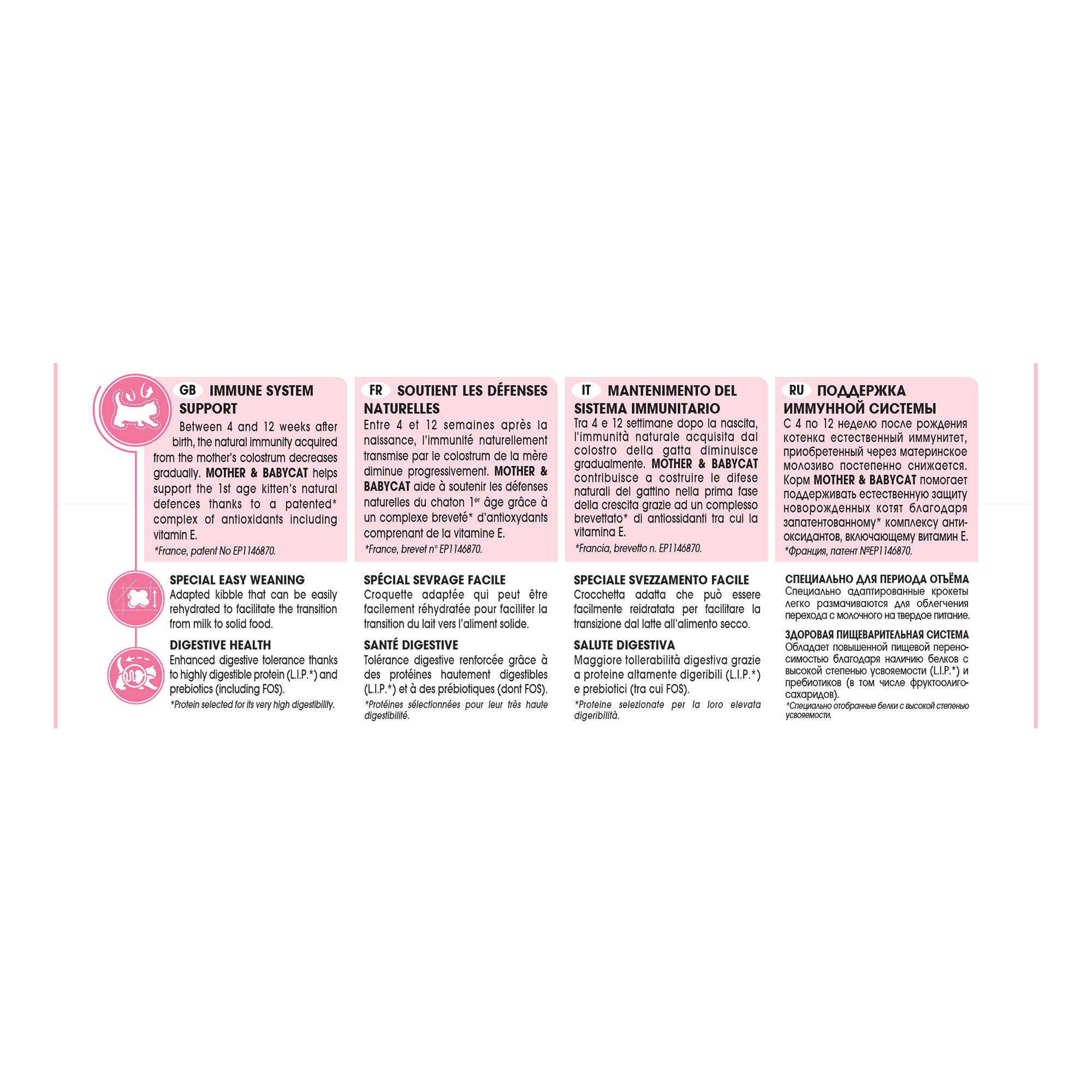 Royal Canin - Croquettes chat et chaton 0-4 mois Mother&Babycat 2 kg - ROYAL CANIN - Imagen 4