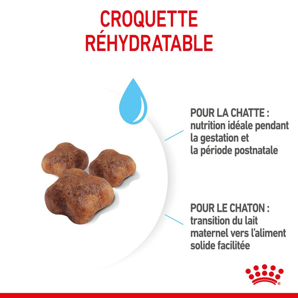 Royal Canin - Croquettes chat et chaton 0-4 mois Mother&Babycat 2 kg - ROYAL CANIN - Imagen 6