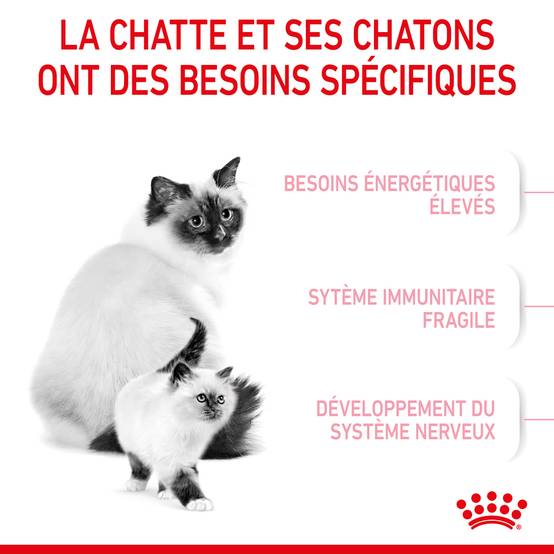 Royal Canin - Croquettes chat et chaton 0-4 mois Mother&Babycat 2 kg - ROYAL CANIN - Image 15