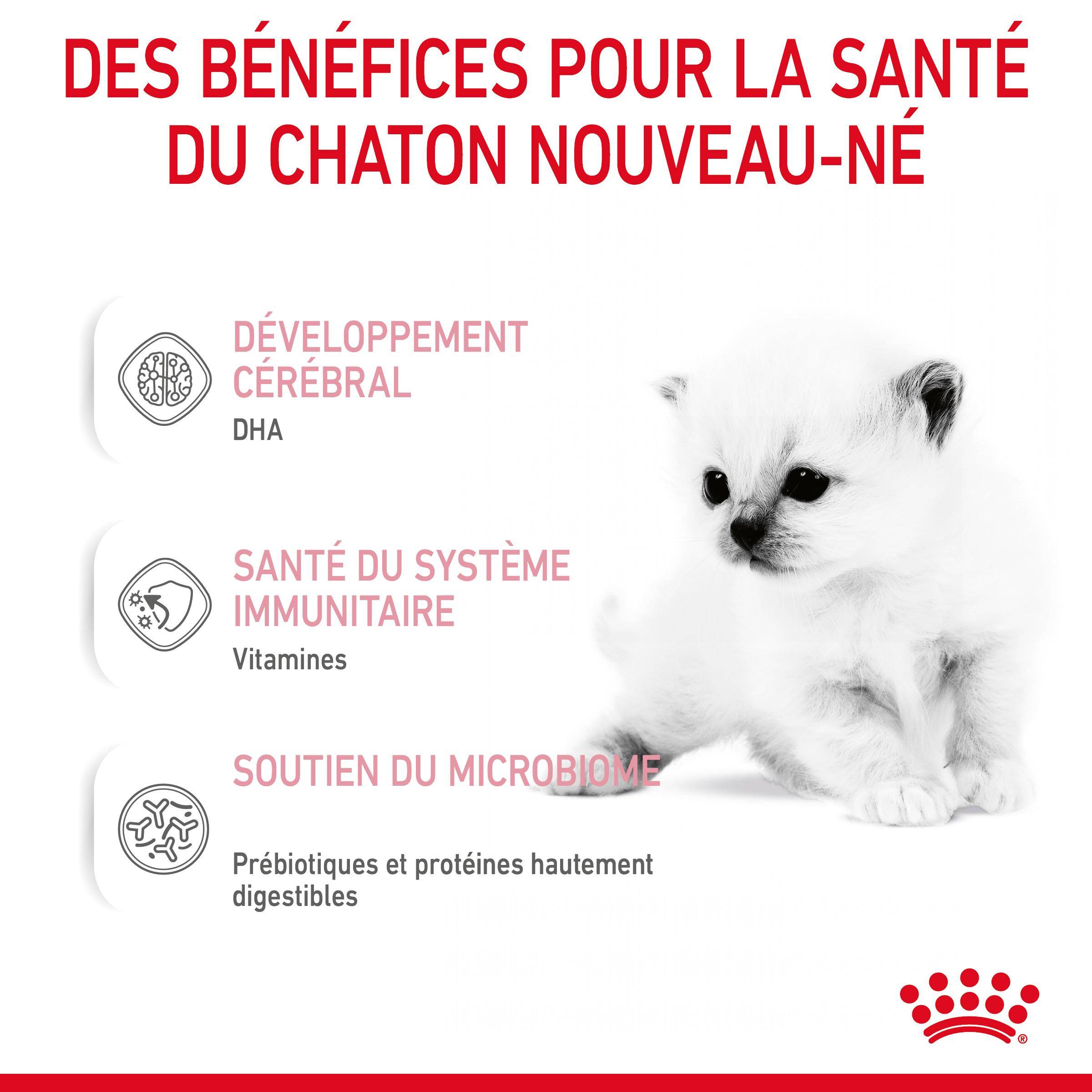 Royal Canin - Lait Maternisé Chaton - ROYAL CANIN - Image 3