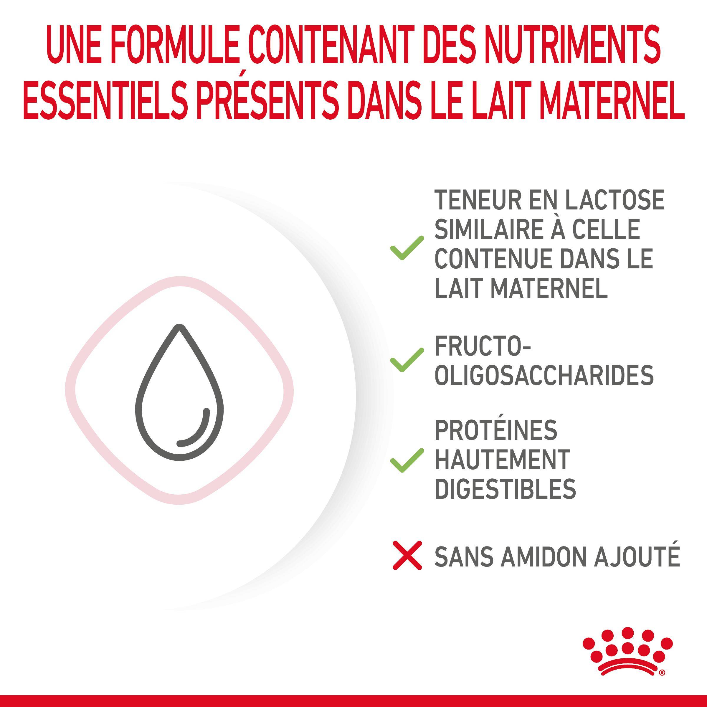 Royal Canin - Lait Maternisé Chaton - ROYAL CANIN - Image 10