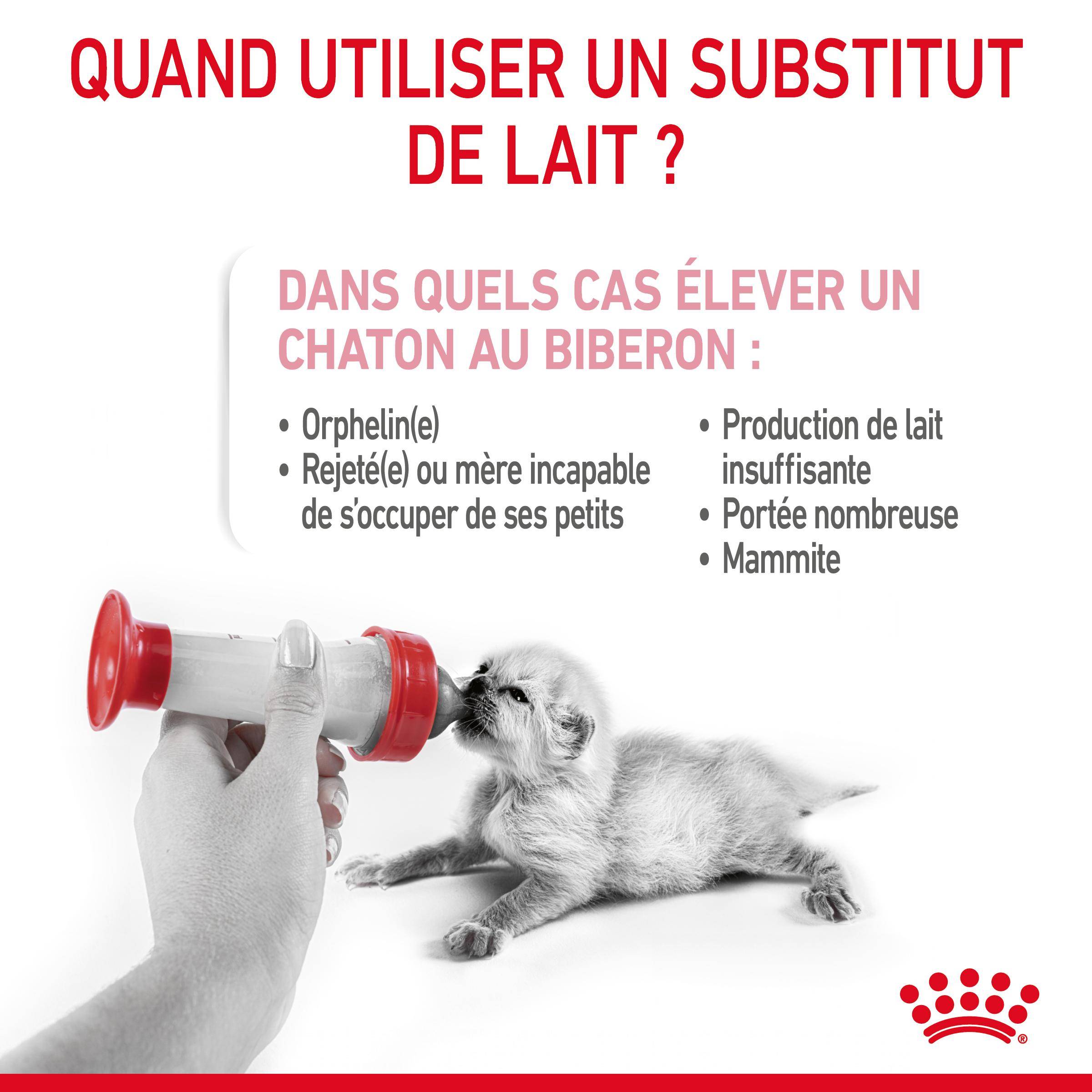 Royal Canin - Lait Maternisé Chaton - ROYAL CANIN - Image 9