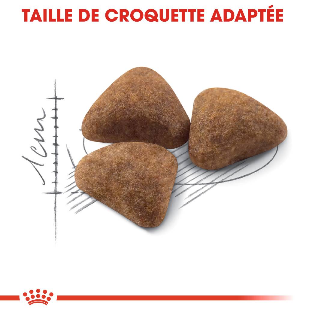 Royal Canin - Nourriture pour chat adulte d'intérieur - ROYAL CANIN - Image 6