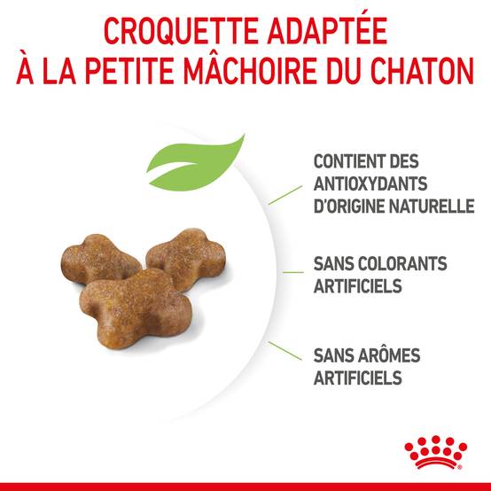 Royal Canin - Croquettes chat Kitten - ROYAL CANIN - Image 3