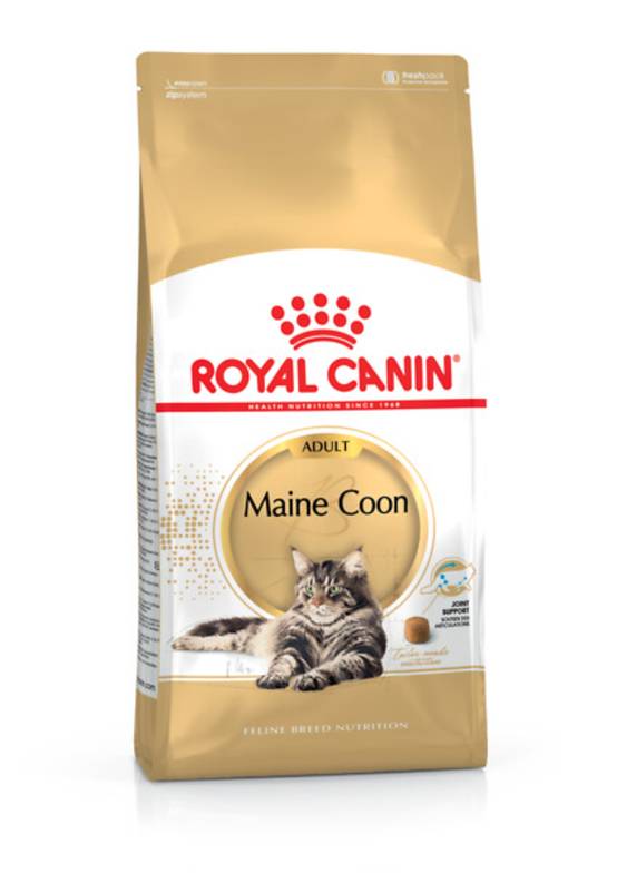 Royal Canin - Croquettes Chat Maine Coon Adulte - ROYAL CANIN