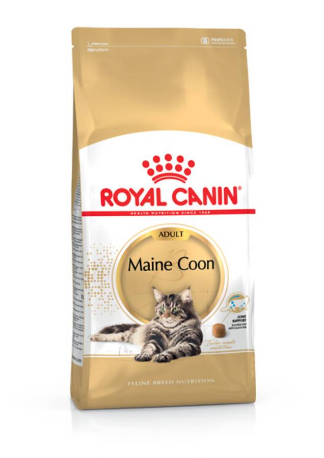 Royal Canin - Croquettes Chat Maine Coon Adulte - ROYAL CANIN