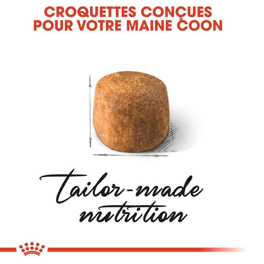 Royal Canin - Croquettes Maine Coon Adulte – ROYAL CANIN - Imagen 4