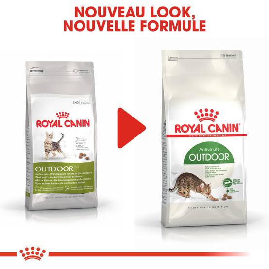 Royal Canin - Croquettes chat extérieur adulte - ROYAL CANIN - Image 3