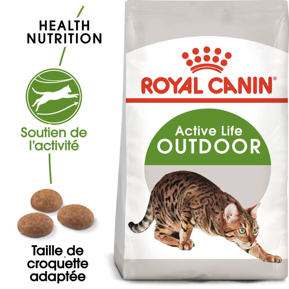 Royal Canin - Croquettes chat extérieur adulte - ROYAL CANIN - Imagen 2