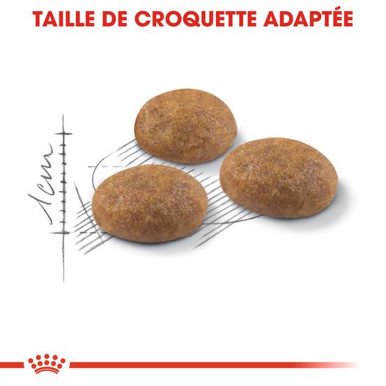 Royal Canin - Croquettes chat extérieur adulte - ROYAL CANIN - Image 4