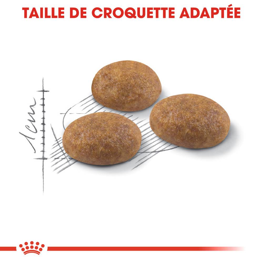 Royal Canin - Croquettes chat extérieur adulte - ROYAL CANIN - Imagen 4
