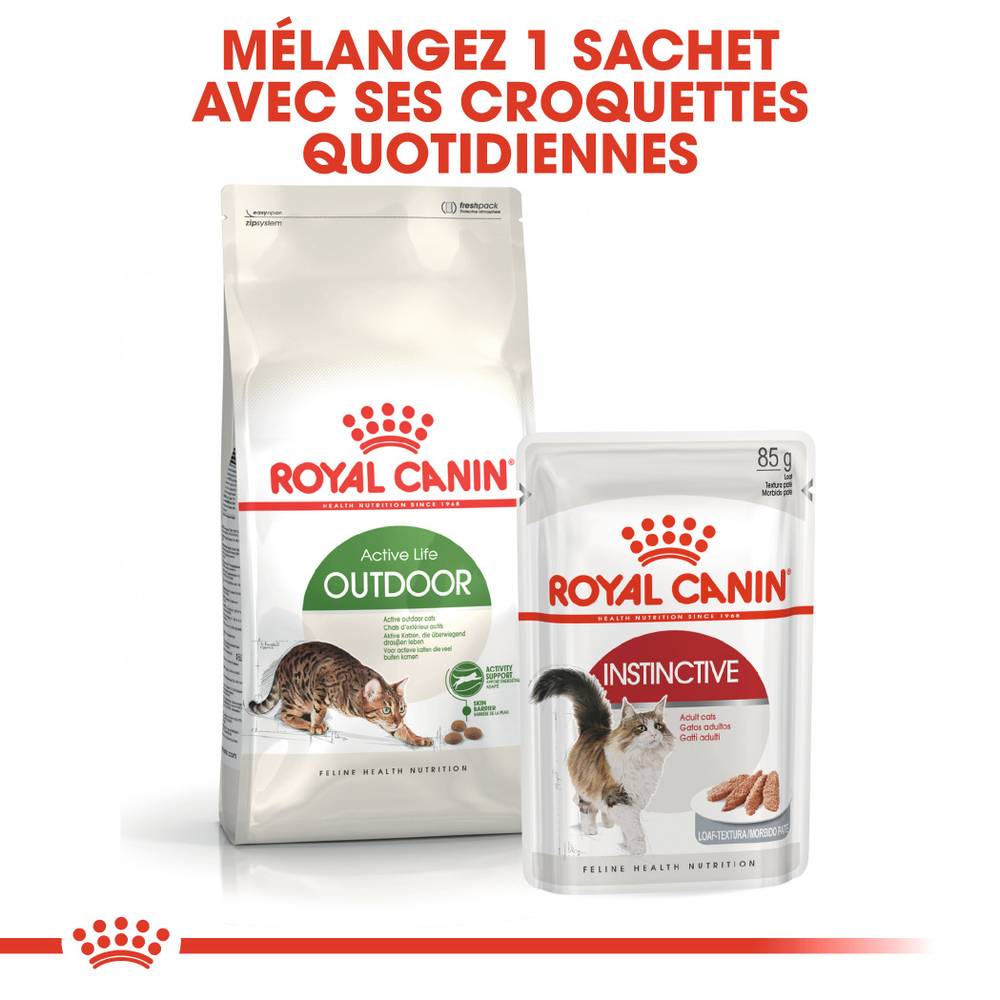 Royal Canin - Croquettes chat extérieur adulte - ROYAL CANIN - Imagen 5